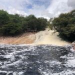 whatsapp image 2026 03 11 at 20.43.46