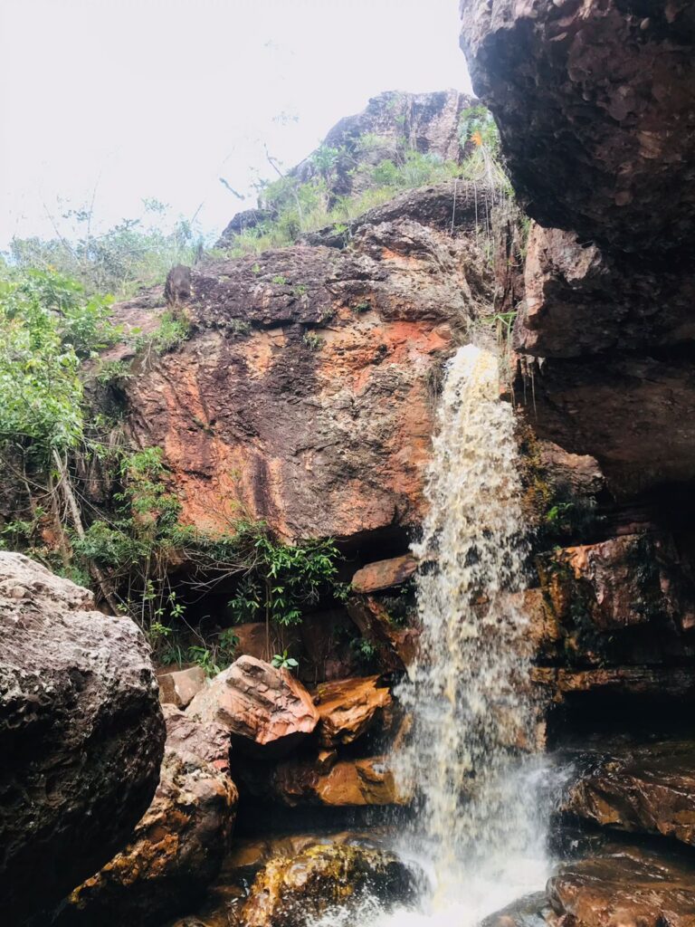 whatsapp image 2026 03 11 at 20.48.36