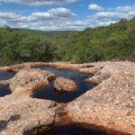 whatsapp image 2026 03 11 at 20.48.37