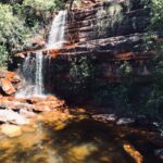 whatsapp image 2026 03 11 at 20.48.37 (2)