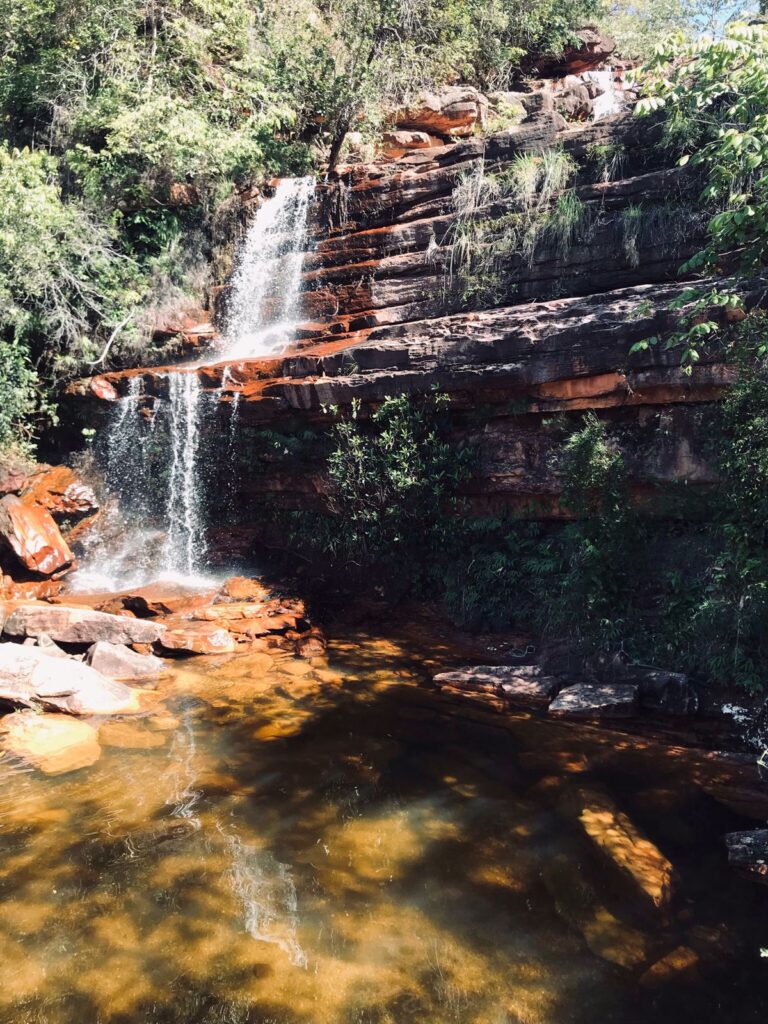 whatsapp image 2026 03 11 at 20.48.37 (2)