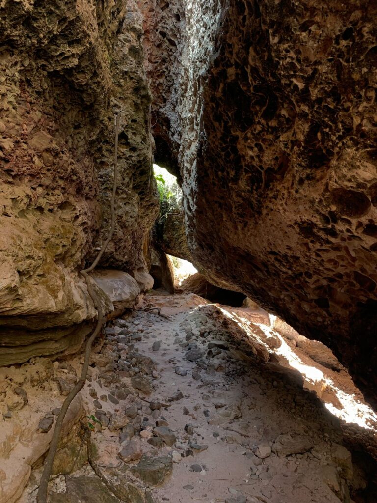 whatsapp image 2026 03 11 at 20.48.38 (2)