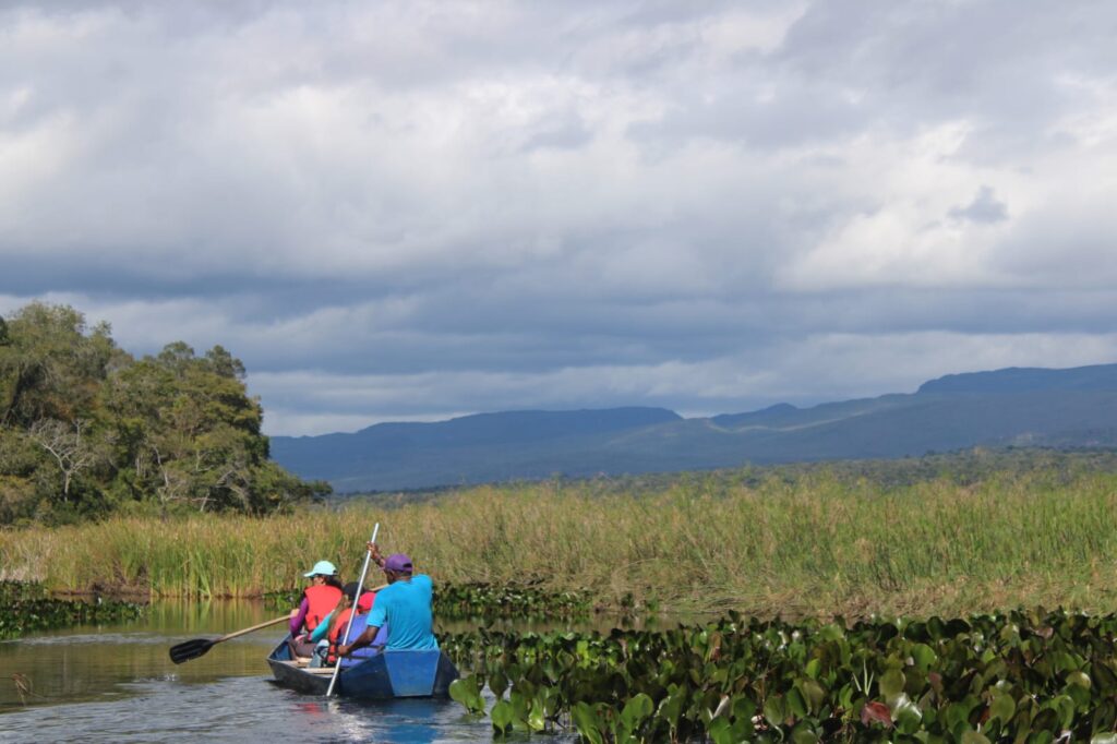 whatsapp image 2026 03 12 at 10.45.59 (1)