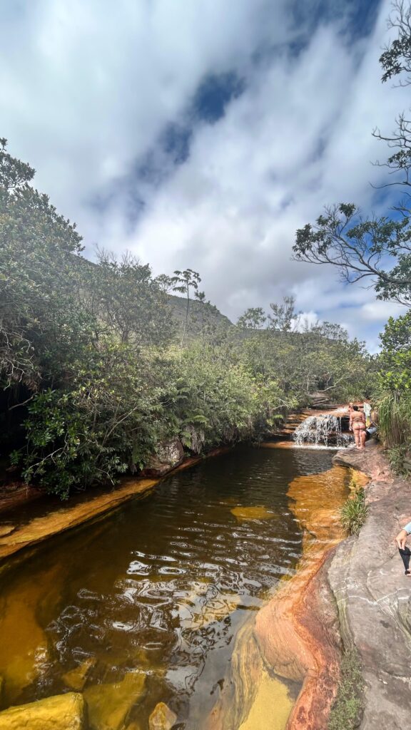 whatsapp image 2026 03 12 at 10.54.08