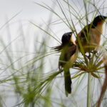 dscn2428