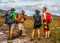 10536501 10204121974867918 2553869094389156503 o